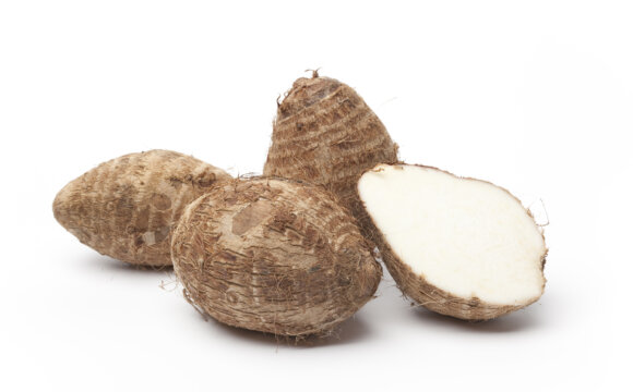 「魚芋共生」整合式有機栽培模式建立