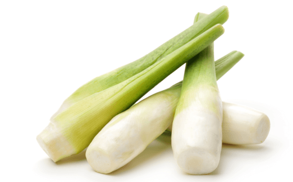 有機資材之應用對茭白筍生長與產量之影響