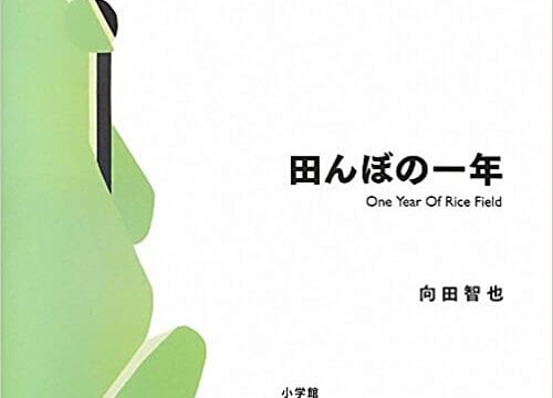 《里山的一年繪本1：水稻田的一年》田んぼの一年