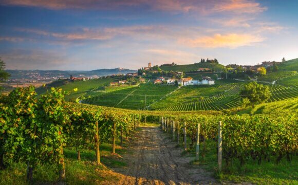 淺談有機農業與友善生態環境價值