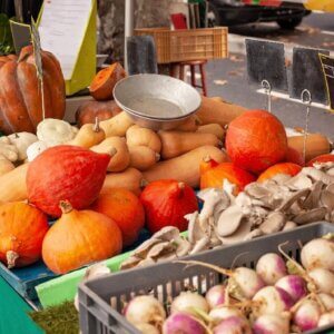 BIOFAHCH 歐洲市場趨勢