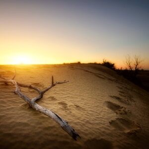 氣候變遷下有機農業所扮演的角色
