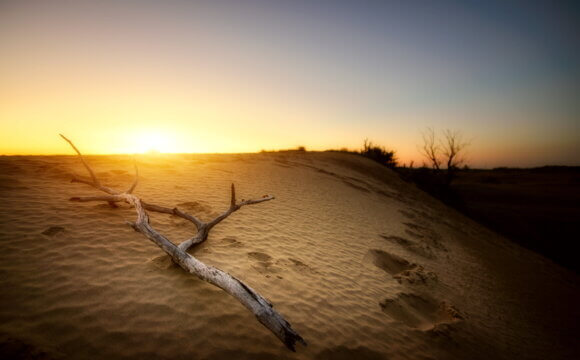 氣候變遷下有機農業所扮演的角色