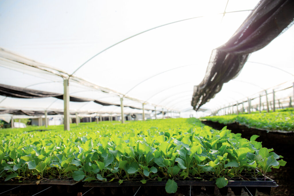 歐盟促進有機農業 種子技術