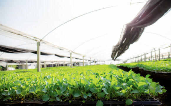 歐盟促進有機農業的2021行動方案