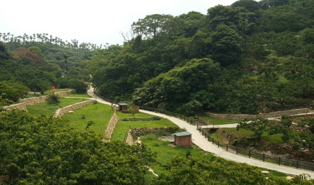 就是韌性-有機農業對水逆境的調適力