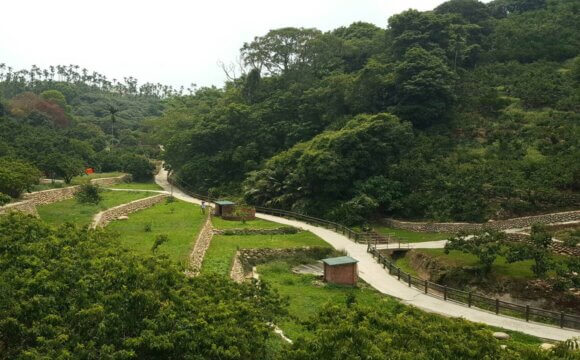 就是韌性-有機農業對水逆境的調適力