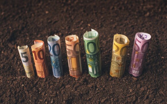 歐盟農業部長們支持學校及醫院採購更多有機食材