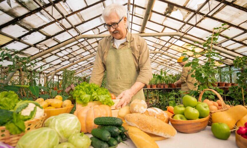 生態農業是朝向農業更永續的關鍵？