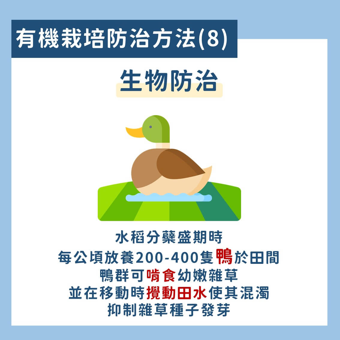 台灣常見的水稻有機栽培雜草防治技術 10 水稻有機栽培雜草防治技術