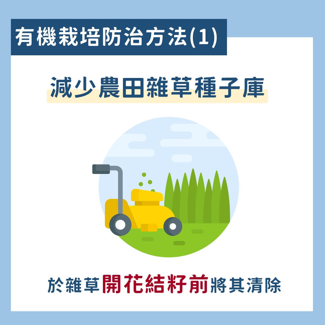 台灣常見的水稻有機栽培雜草防治技術 3 水稻有機栽培雜草防治技術