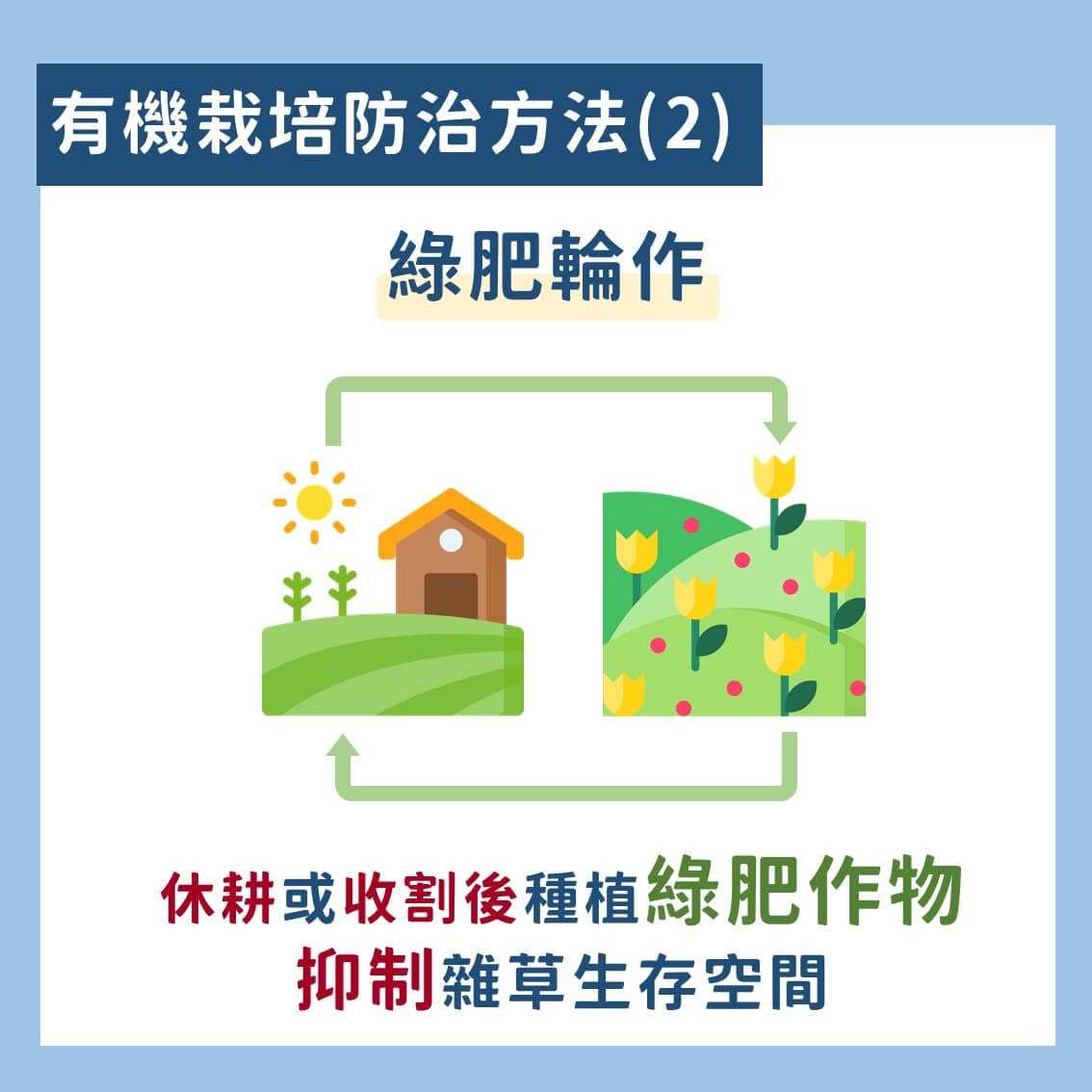 台灣常見的水稻有機栽培雜草防治技術 4 水稻有機栽培雜草防治技術