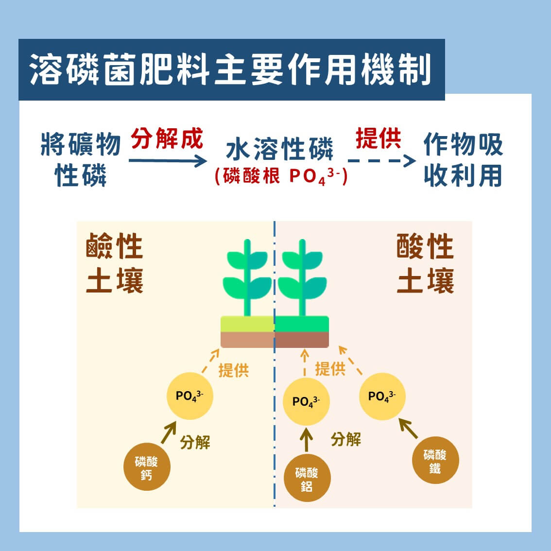 認識微生物肥料：以溶磷菌肥料為例