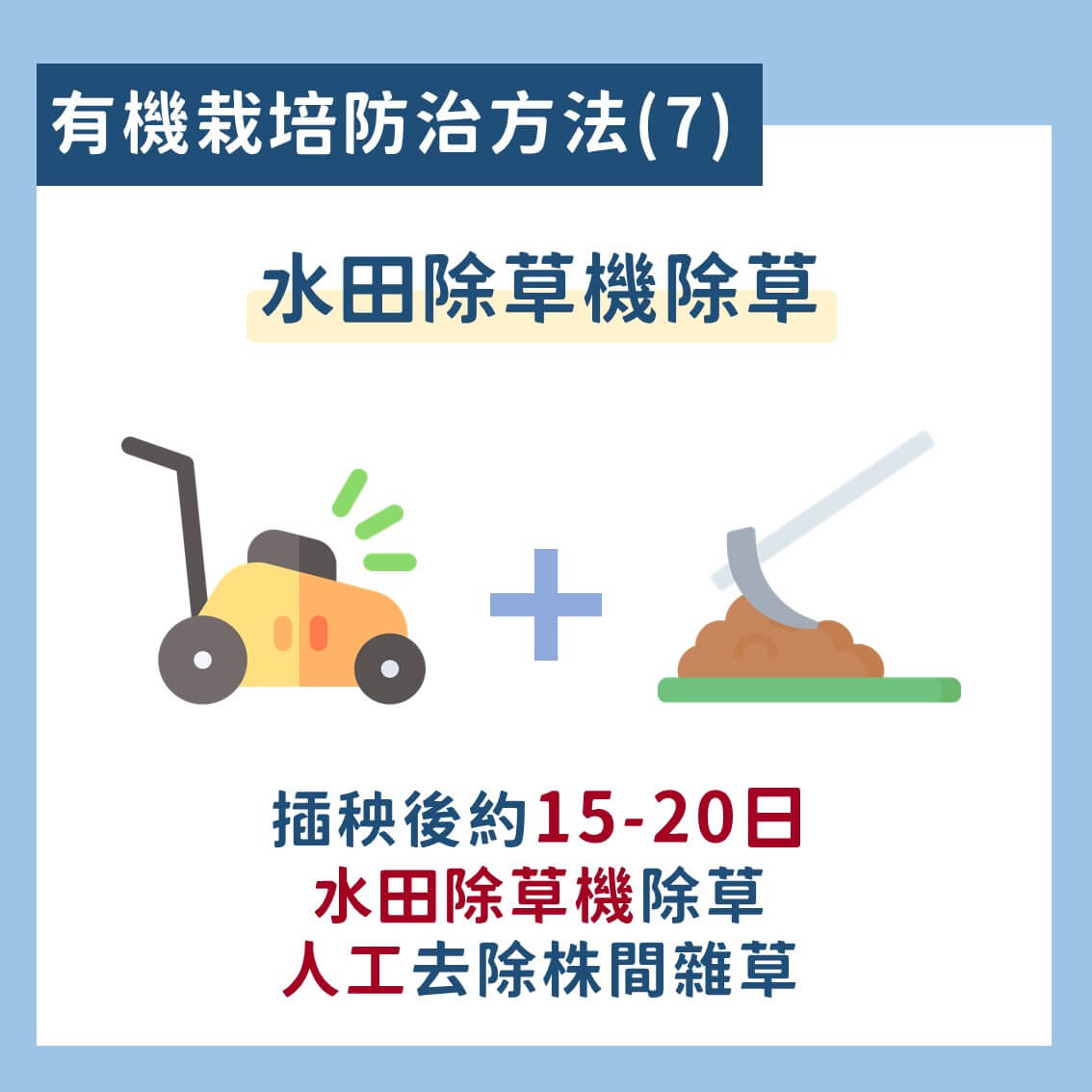 台灣常見的水稻有機栽培雜草防治技術 9 水稻有機栽培雜草防治技術