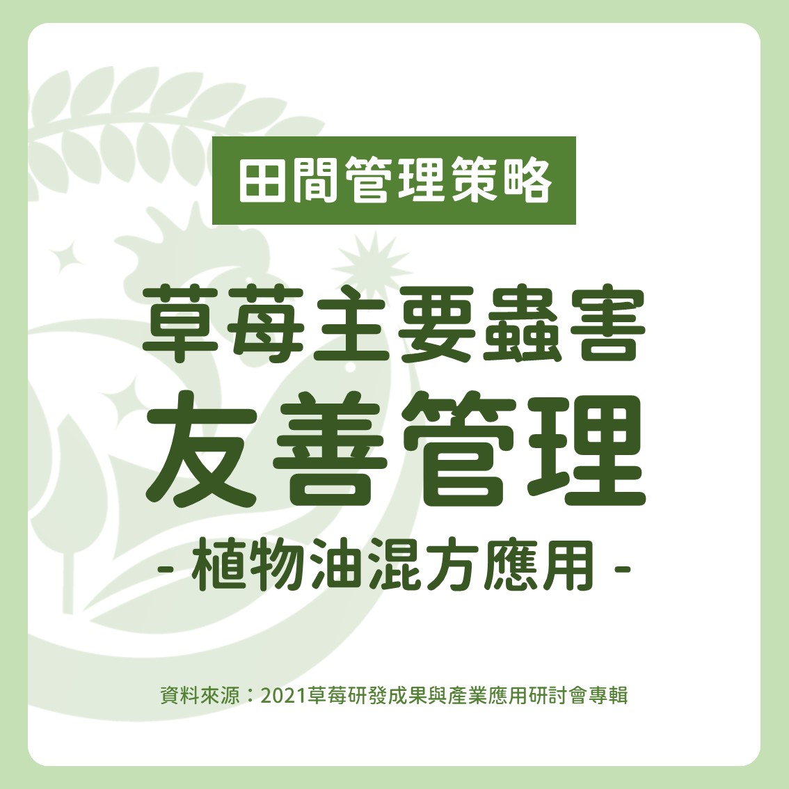 草苺主要蟲害之友善管理：植物油混方應用