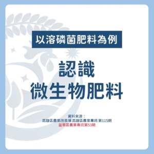 認識微生物肥料：以溶磷菌肥料為例