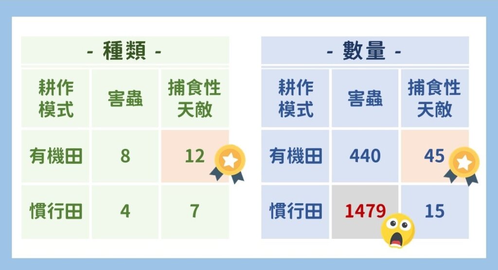 有機耕作對茭白筍田的正向影響