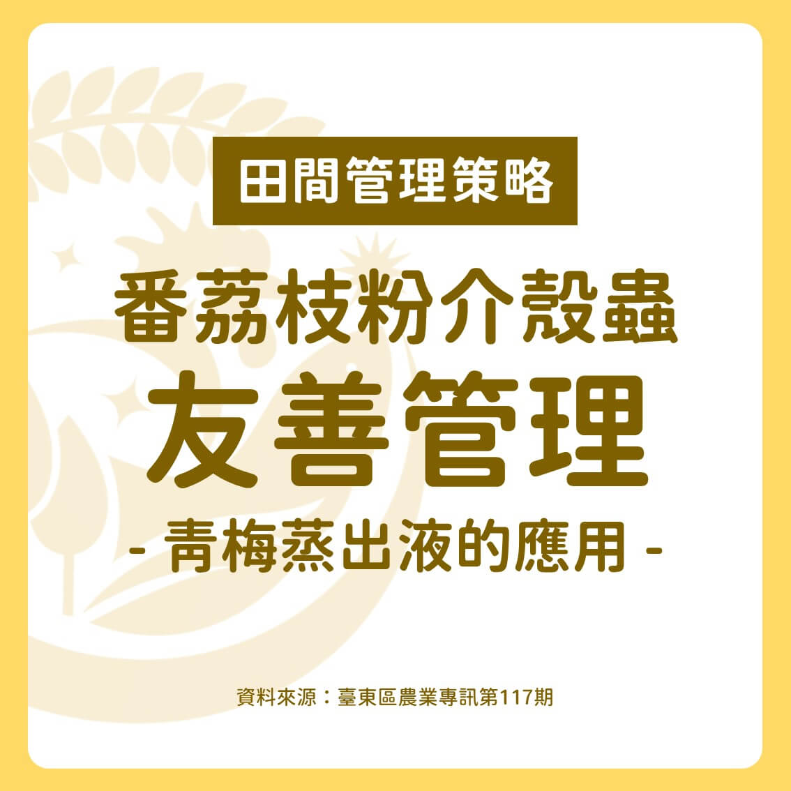 番荔枝粉介殼蟲之友善管理－青梅蒸出液的應用