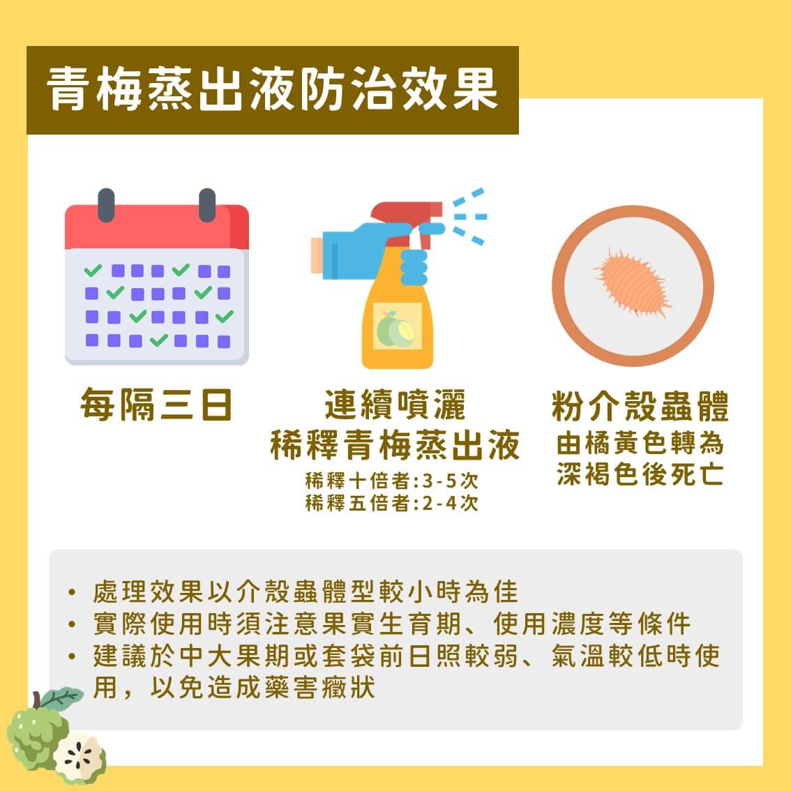 番荔枝粉介殼蟲之友善管理－青梅蒸出液的應用