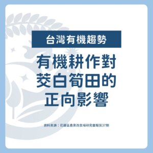 有機耕作對茭白筍田的正向影響