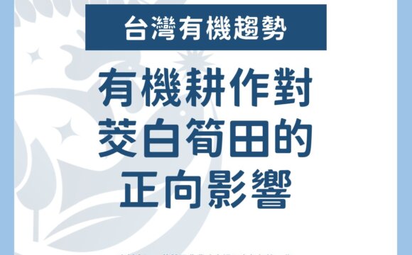 有機耕作對茭白筍田的正向影響
