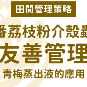 番荔枝粉介殼蟲之友善管理－青梅蒸出液的應用