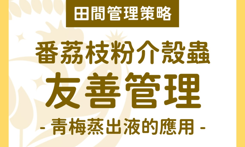 番荔枝粉介殼蟲之友善管理－青梅蒸出液的應用