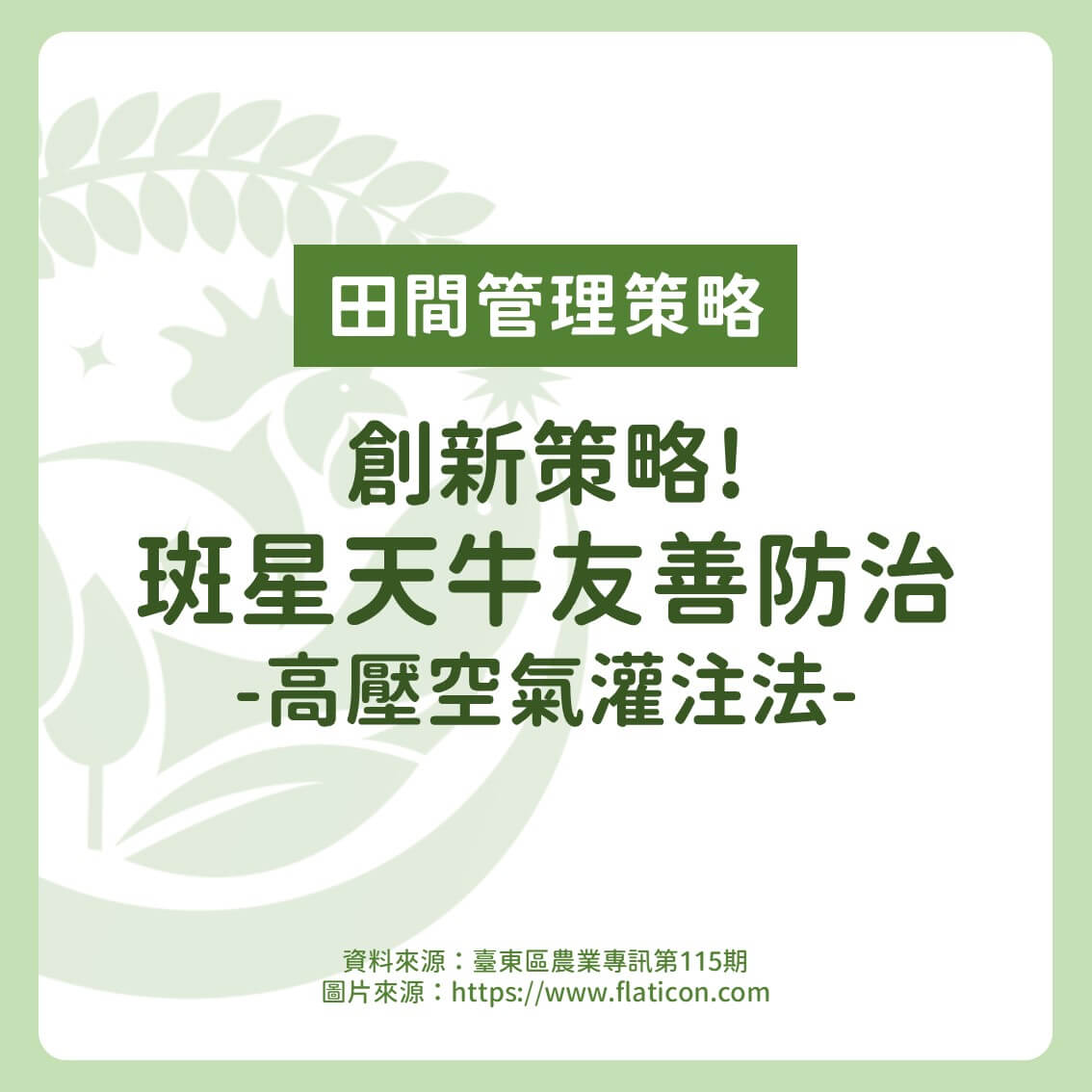 創新策略！斑星天牛的友善防治：高壓空氣灌注法