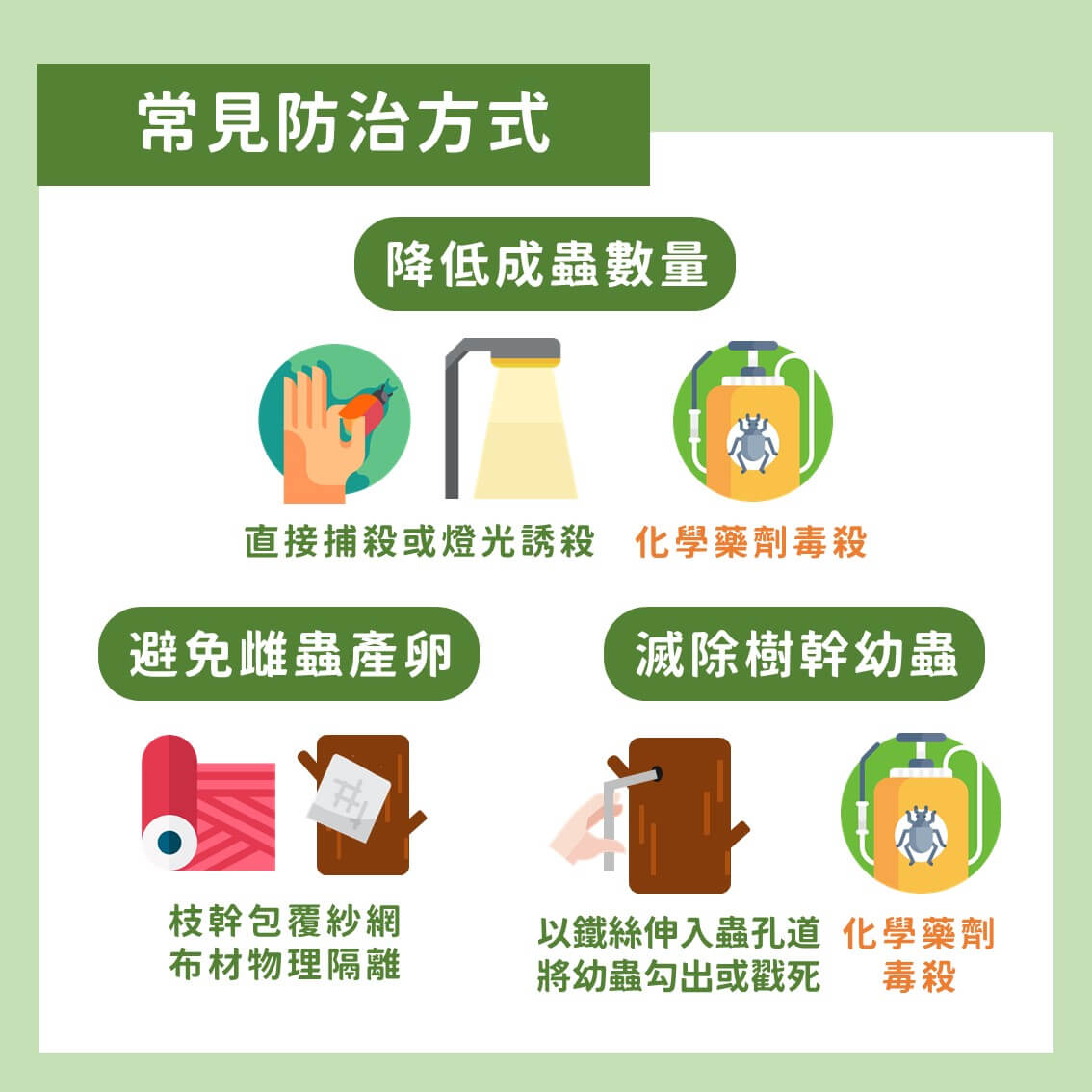 創新策略！斑星天牛的友善防治：高壓空氣灌注法