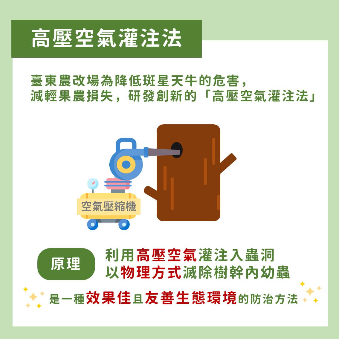 創新策略！斑星天牛的友善防治：高壓空氣灌注法