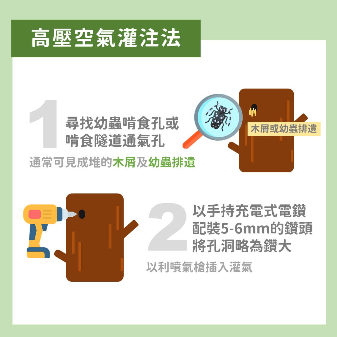 創新策略！斑星天牛的友善防治：高壓空氣灌注法