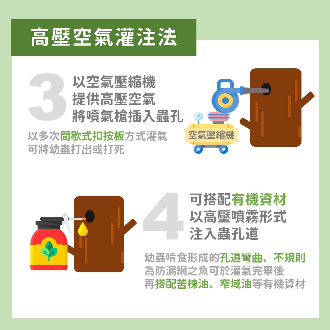 創新策略！斑星天牛的友善防治：高壓空氣灌注法