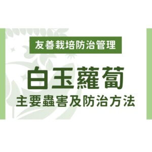 白玉蘿蔔有機及友善栽培：主要蟲害及防治方法