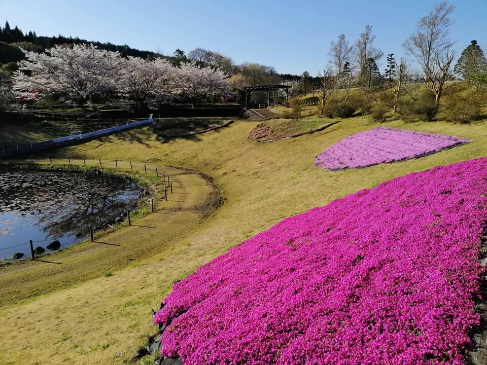 追求人類健康幸福的農業宗教家：岡田茂吉