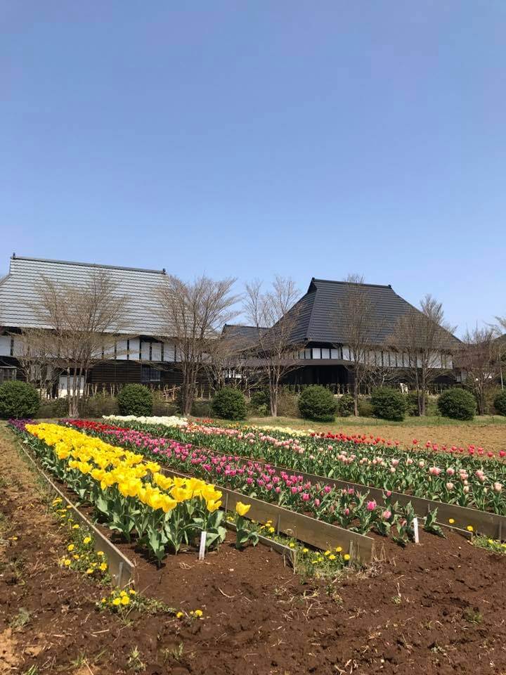 追求人類健康幸福的農業宗教家：岡田茂吉
