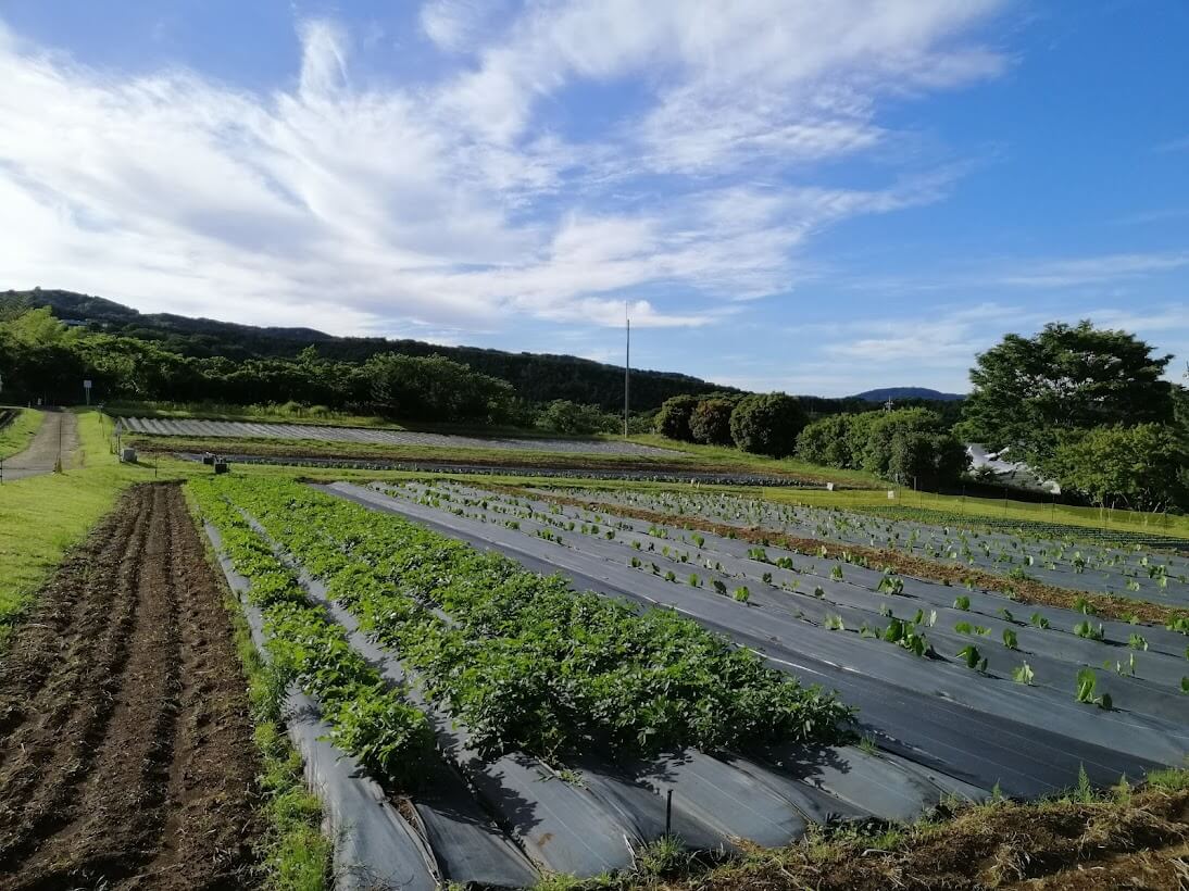 追求人類健康幸福的農業宗教家：岡田茂吉