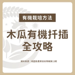 木瓜有機扦插全攻略