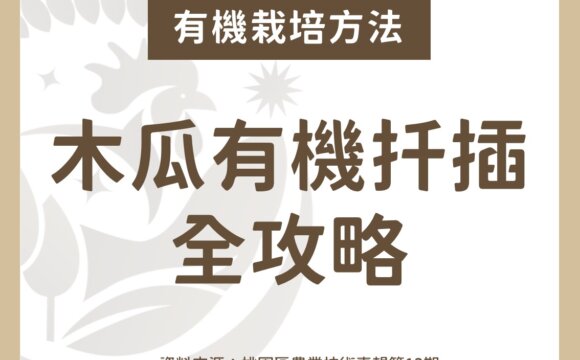 木瓜有機扦插全攻略