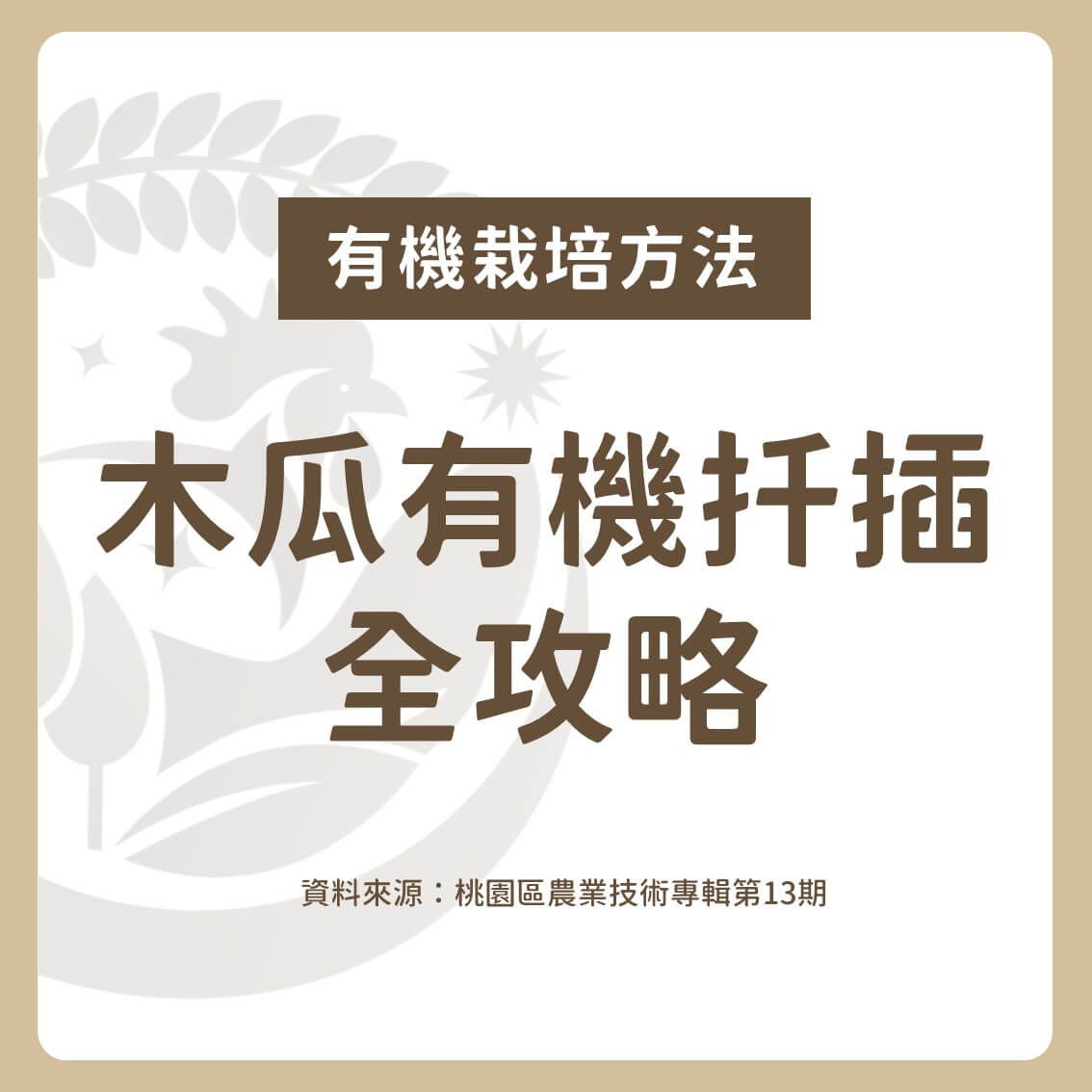 木瓜有機扦插全攻略