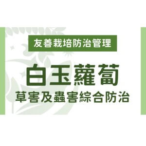 白玉蘿蔔有機及友善栽培：草害及蟲害綜合防治方法