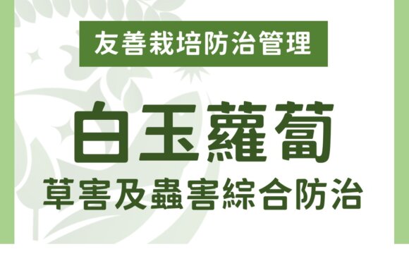 白玉蘿蔔有機及友善栽培：草害及蟲害綜合防治方法