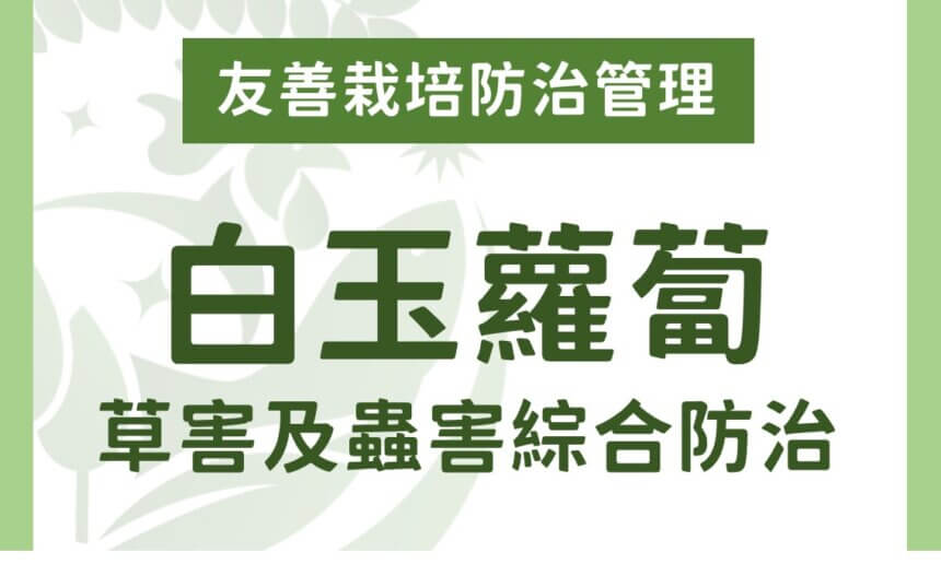 白玉蘿蔔有機及友善栽培：草害及蟲害綜合防治方法