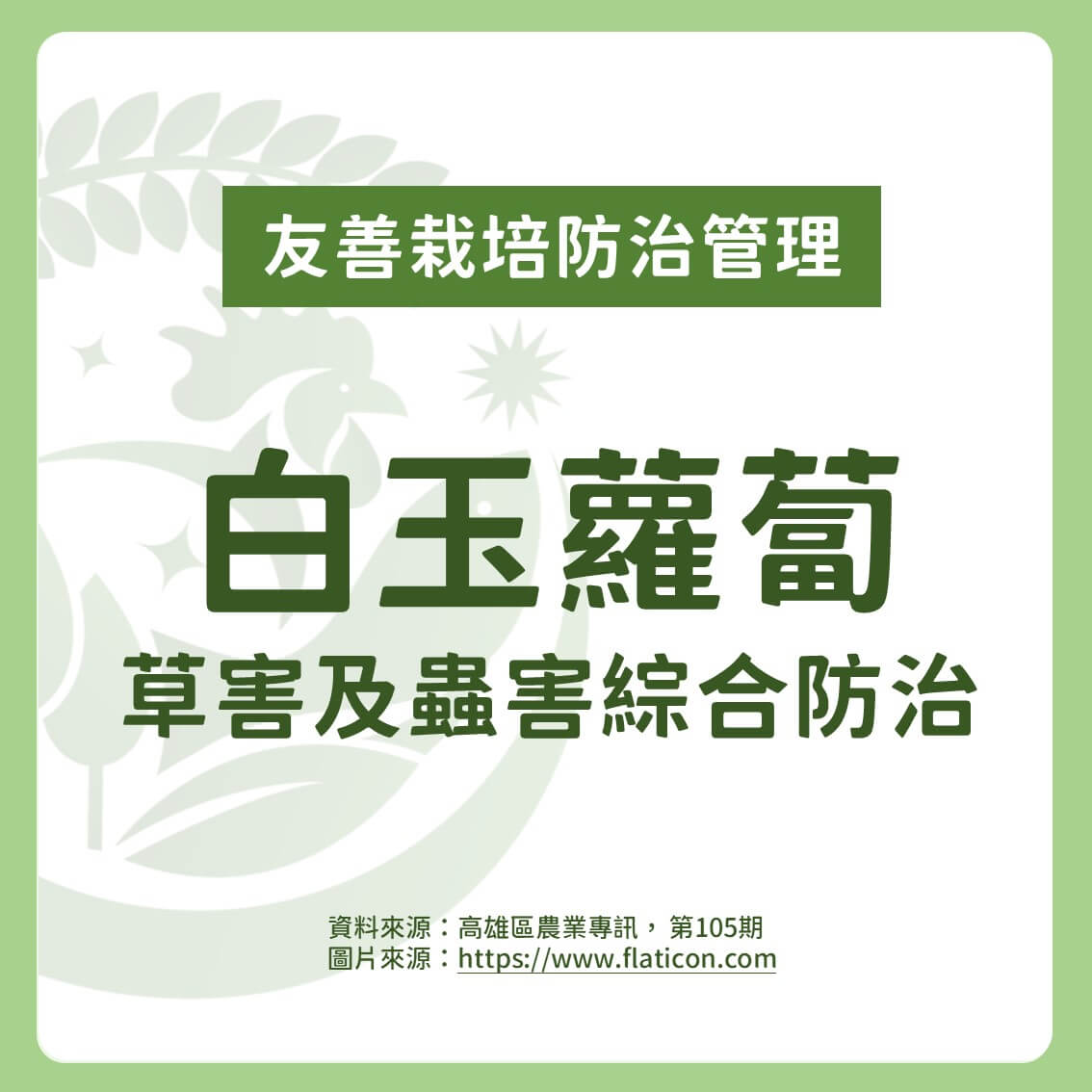 白玉蘿蔔有機及友善栽培：蟲害及草害綜合防治方法