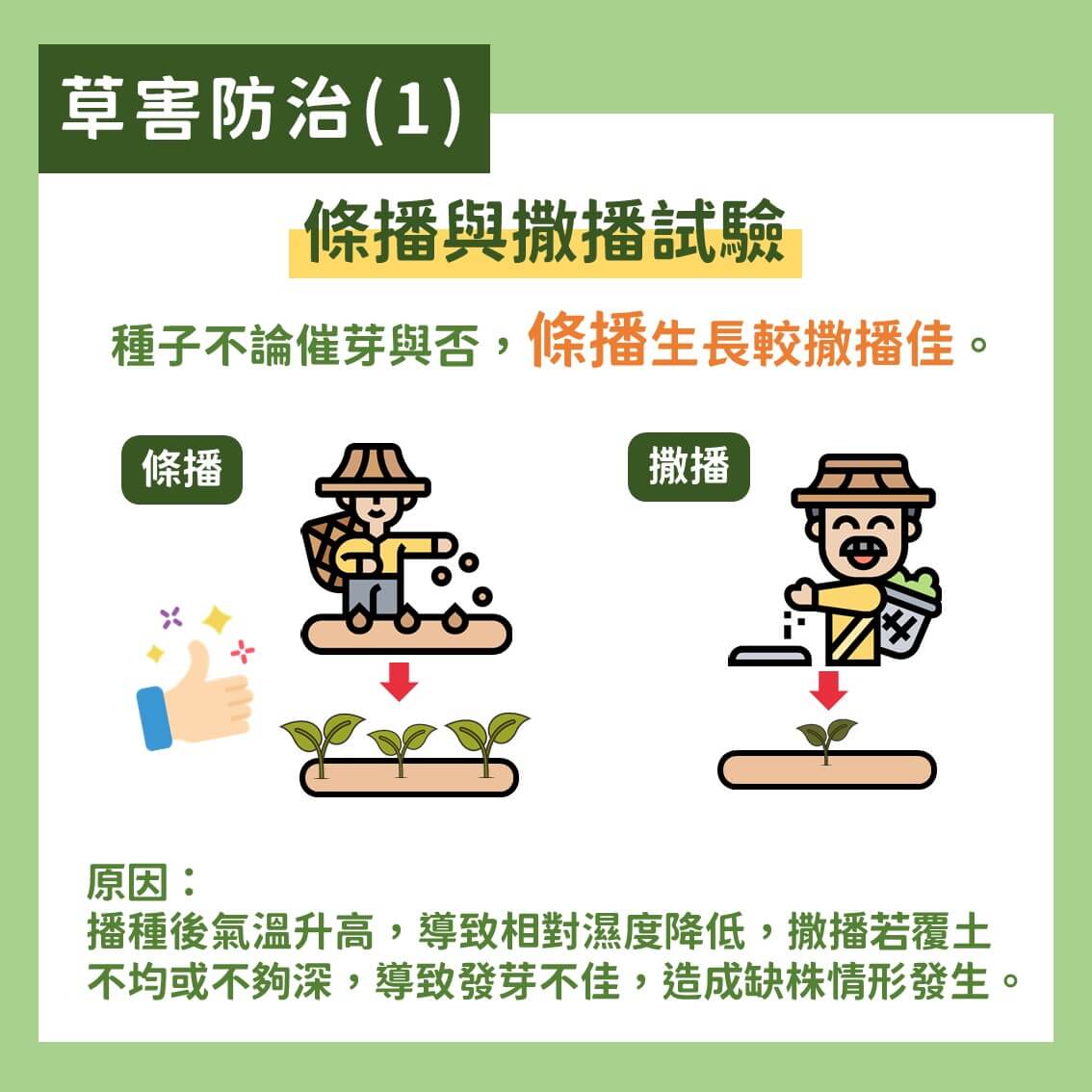 白玉蘿蔔有機及友善栽培：蟲害及草害綜合防治方法