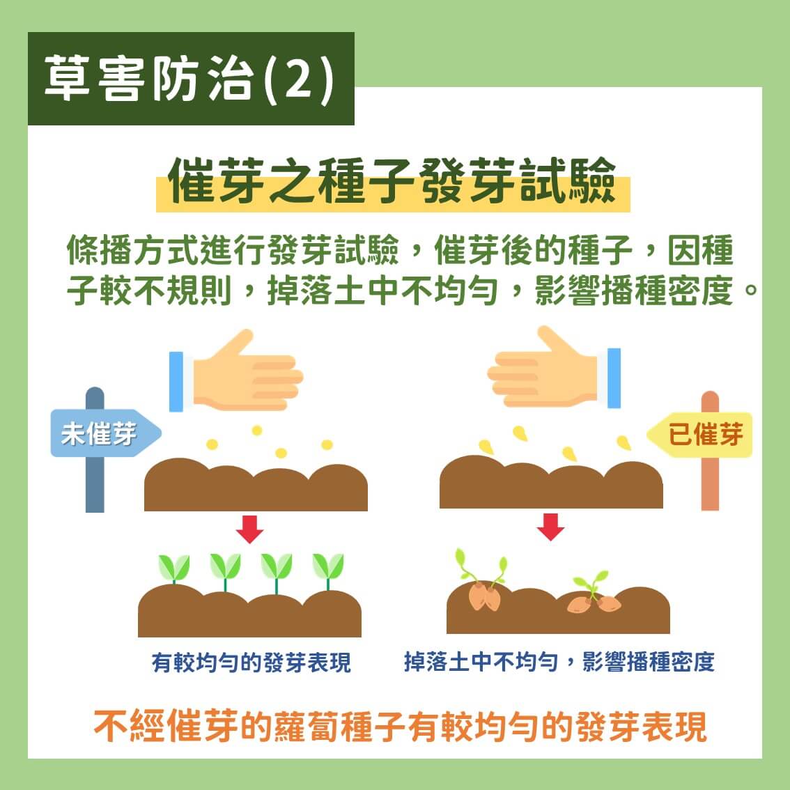 白玉蘿蔔有機及友善栽培：蟲害及草害綜合防治方法