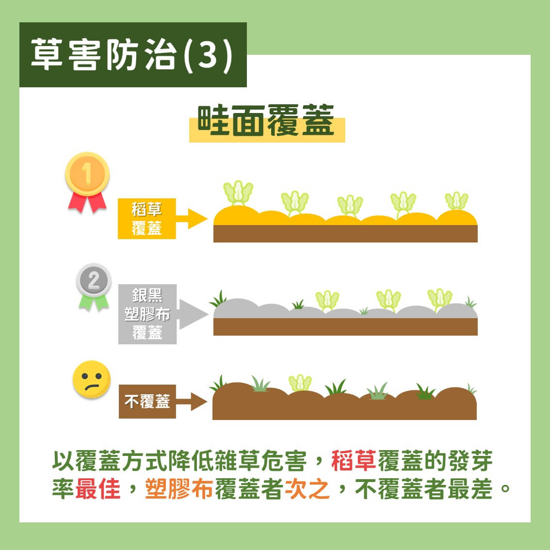 白玉蘿蔔有機及友善栽培：蟲害及草害綜合防治方法