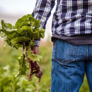 有機驗證的七年之癢──法國農民為何退出有機驗證？