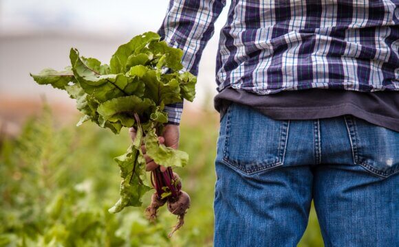 有機驗證的七年之癢──法國農民為何退出有機驗證？