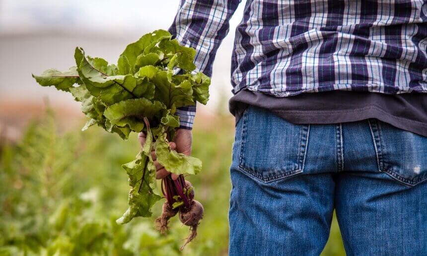 有機驗證的七年之癢──法國農民為何退出有機驗證？