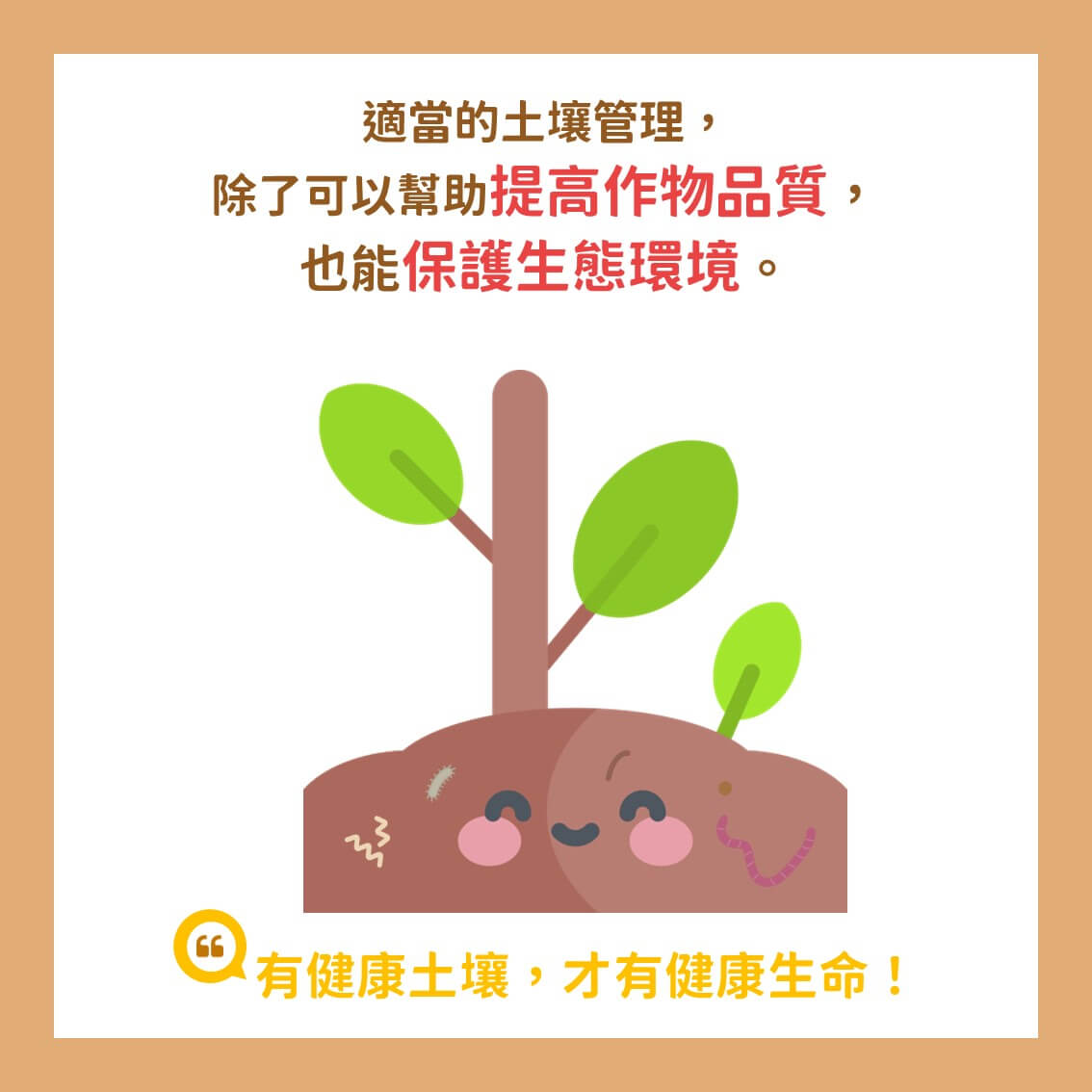 有機栽培土壤養成記 R 9